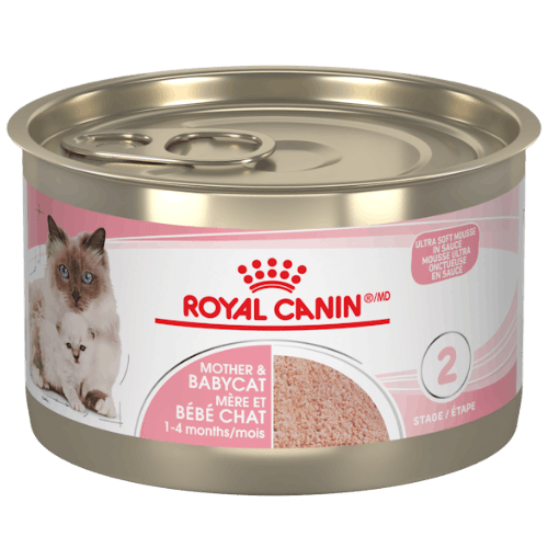 Mother & Babycat Ultra Soft Mousse - Wet Cat Food - Royal Canin - PetToba - Royal Canin