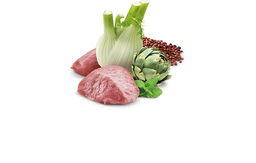 N&D Quinoa Digestion Lamb - Wet Dog Food - Farmina - PetToba - Farmina