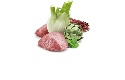 N&D Quinoa Digestion Lamb - Wet Dog Food - Farmina - PetToba - Farmina
