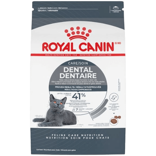 Oral Care Adult - Dry Cat Food - Royal Canin - PetToba - Royal Canin