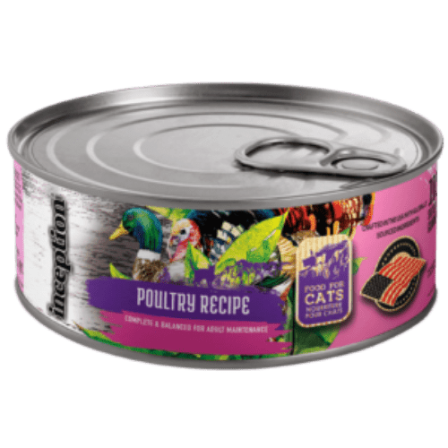 Poultry Recipe Cat Wet Food - Inception - PetToba - Inception