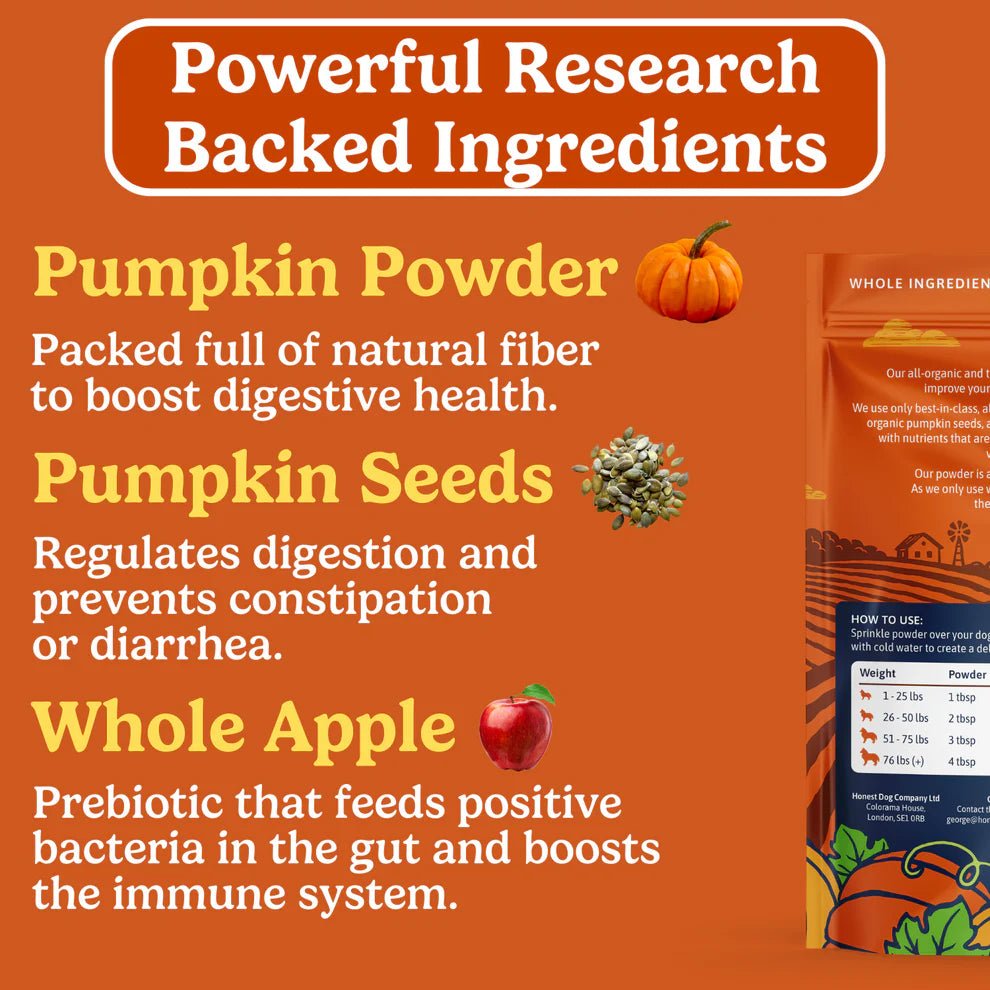 Pumpkin Powder - Dog Supplement - The Honest Dog Co - PetToba - The Honest Dog Co