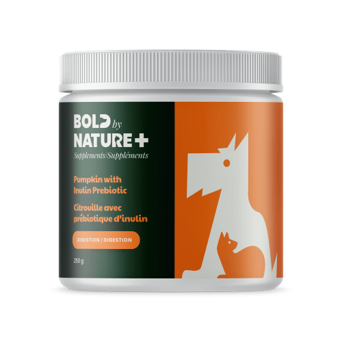 Pumpkin Powder with Inulin - Dogs & Cats Supplement - Bold By Nature - PetToba - Bold By Nature