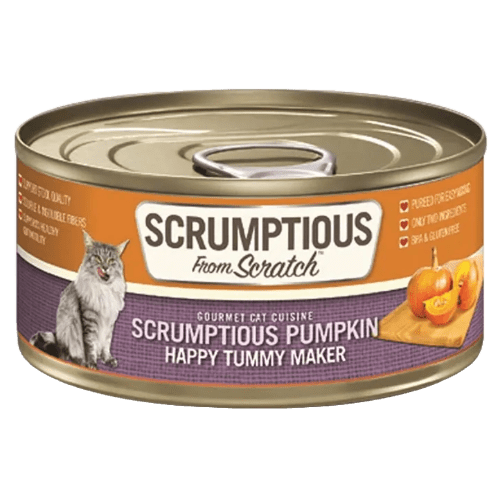 Pumpkin - Scrumptious Pumpkin Puree - Wet Cat /Dog Topper - Scrumptious - PetToba - Scrumptious