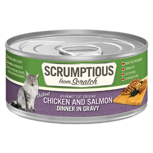 Shredded Chicken - Chicken and Salmon - Dinner in Gravy - Wet Cat Food - Scrumptious - PetToba - Scrumptious