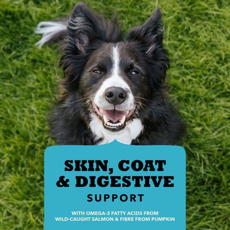 Skin, Coat & Digestion Chewy Strips With Salmon - Dog Treats - Acana - PetToba - ACANA