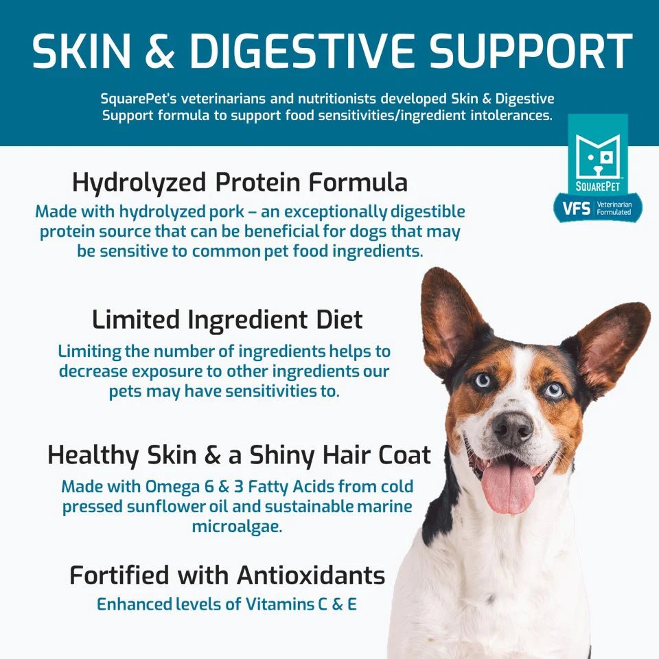 Skin & Digestive Support Formula - Dry Dog Food - SquarePet - PetToba - SquarePet