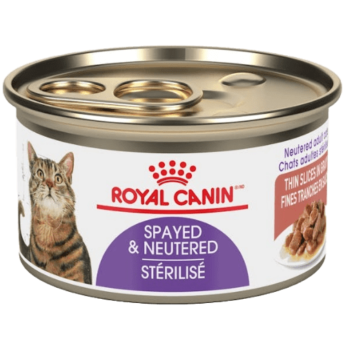 Spayed/Neutered Thin Slices In Gravy Canned - Wet Cat Food - Royal Canin - PetToba - Royal Canin