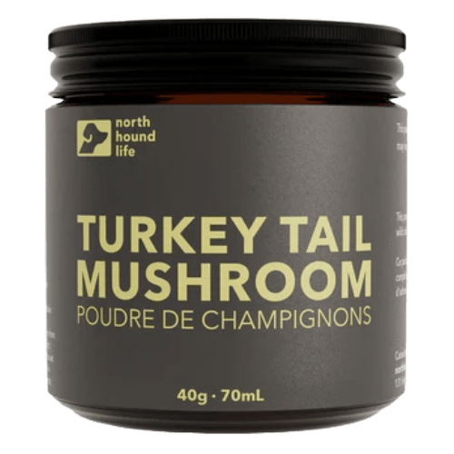 Turkey Tail Mushroom - Dog Supplement - North Hound Life - PetToba - North Hound Life