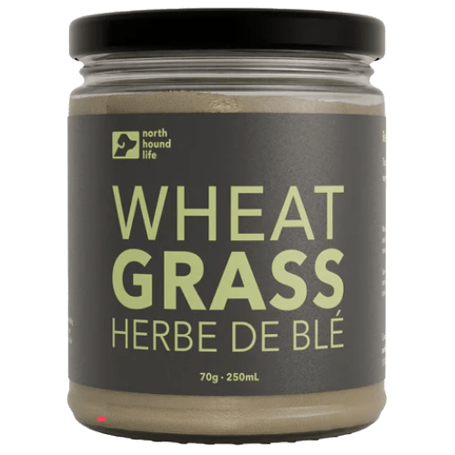 Wheatgrass - Dog Supplement - North Hound Life - PetToba - North Hound Life