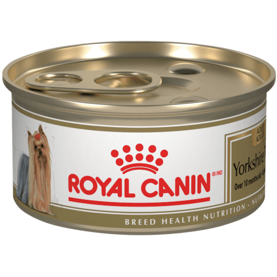 Yorkshire Terrier Loaf In Sauce - Wet Dog Food - Royal Canin - PetToba - Royal Canin