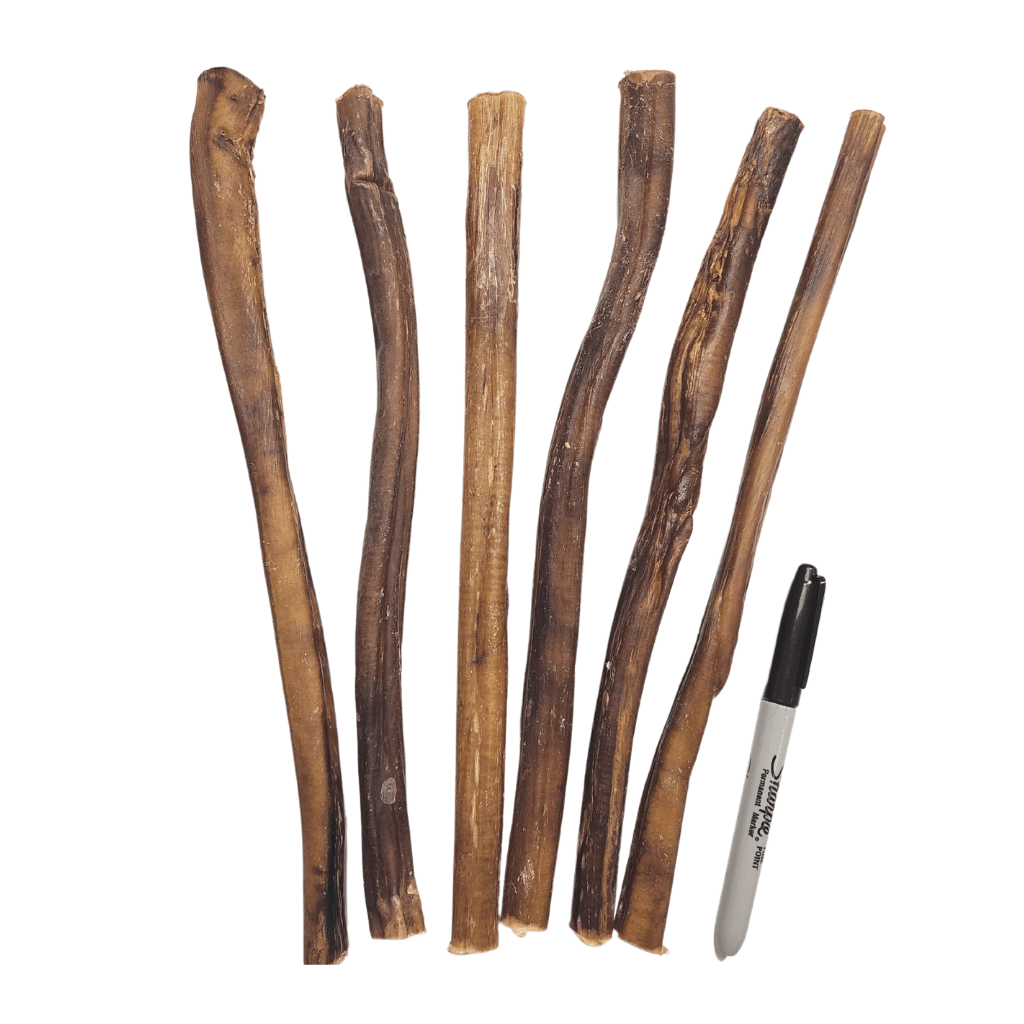 12" Low Odor XX-Large Bully Stick - Gamesome - PetToba-Gamesome