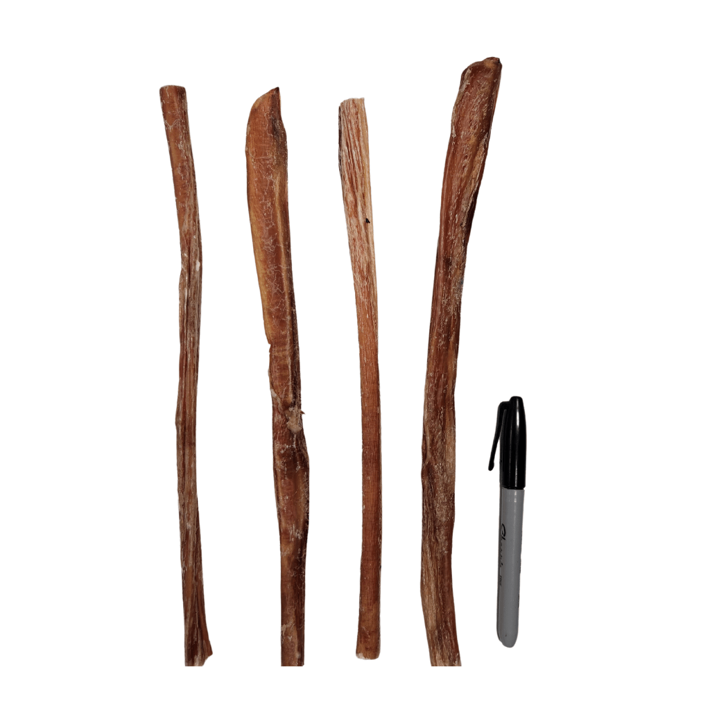12" Odorless Large Bully Stick - Gamesome - PetToba-Gamesome