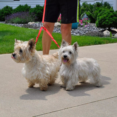 2 Dog Adjustable Coupler - Coastal - PetToba-Coastal