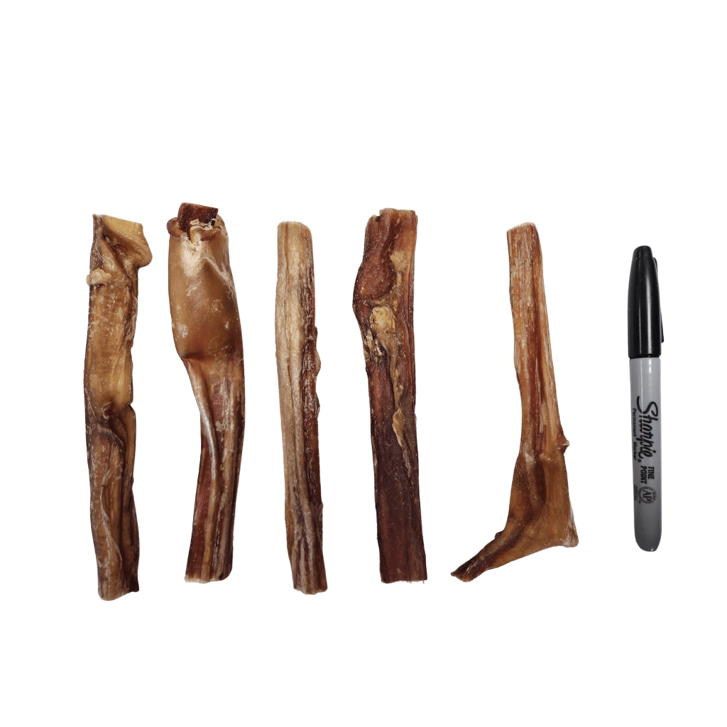 6 inch Odorless Large (20gm - 30gm) Bully Stick - Gamesome - PetToba-Gamesome