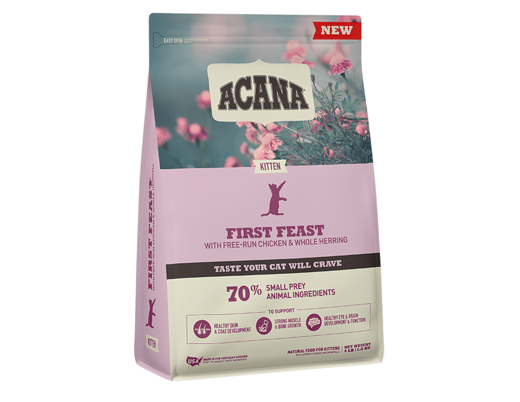 Kittens first food best sale