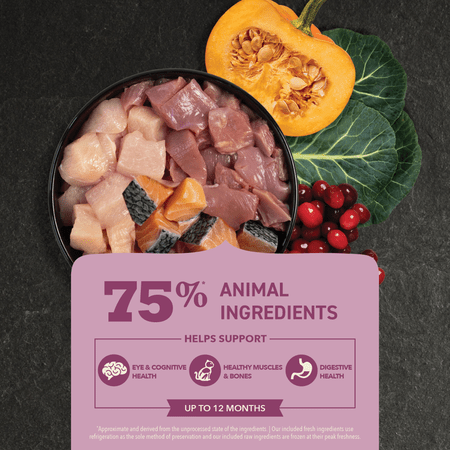 Acana Highest Protein Kitten 1.8 kg