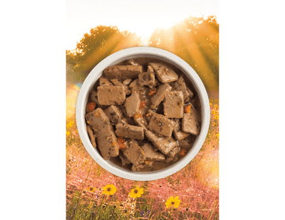 ACANA Premium Chunks - Beef Recipe in Bone Broth - Wet Dog Food - ACANA - PetToba-ACANA