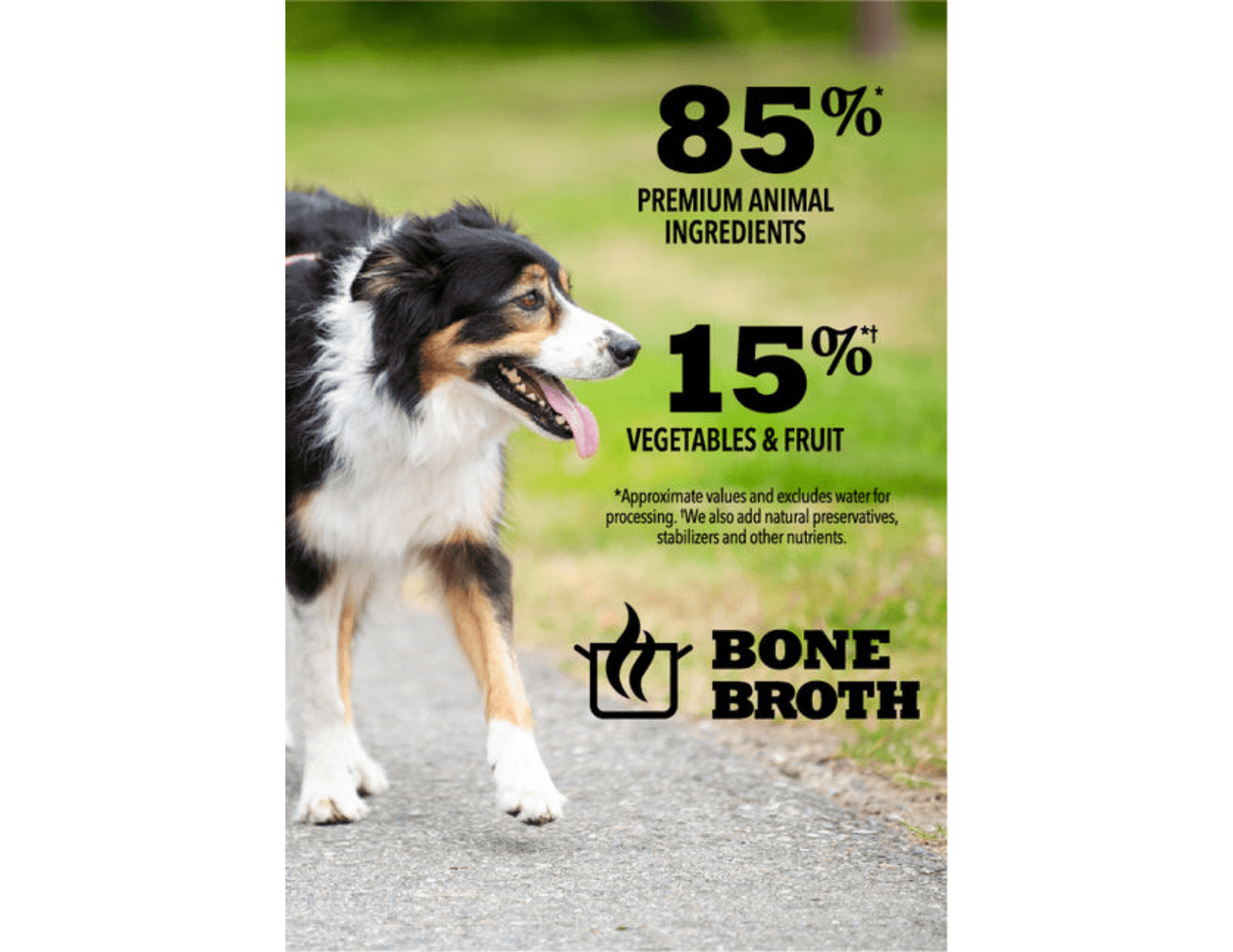 ACANA Premium Chunks - Poultry Recipe in Bone Broth - Wet Dog Food - ACANA - PetToba-ACANA