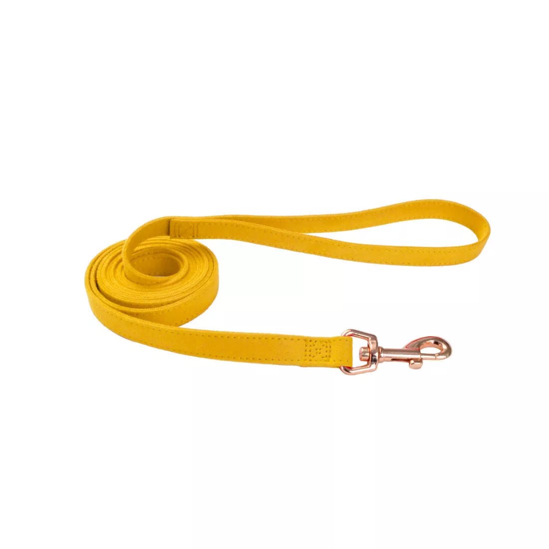 Accent Microfiber Dog Leash - Coastal - PetToba-Coastal