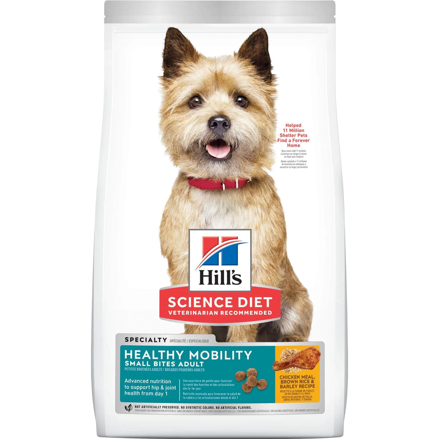 Adult Healthy Mobility Small Bites - Dry Dog Food - Hill's Science Diet - PetToba-Hill's Science