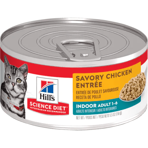 Adult Indoor Savory Chicken Entrée - Wet Cat Food - Hill's Science Diet - PetToba-Hill's Science