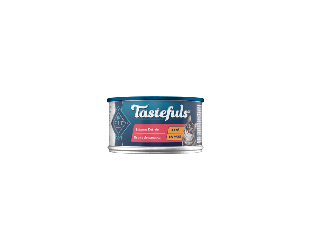 Blue Buffalo Tastefuls Adult Cat Food Natural Salmon
