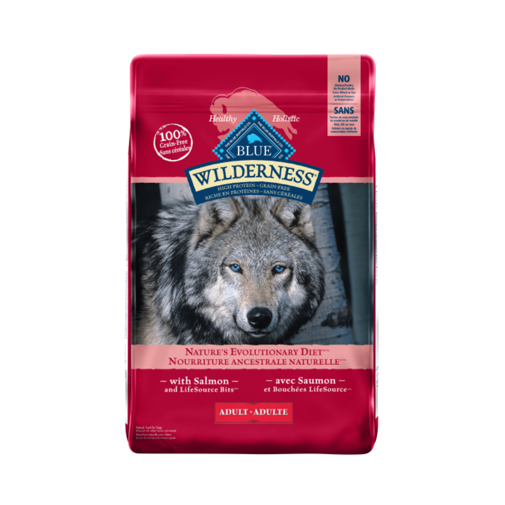 Adult Salmon Recipe - Dry Dog food - Blue Buffalo - PetToba-Blue Buffalo