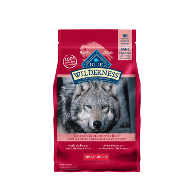 Adult Salmon Recipe - Dry Dog food - Blue Buffalo - PetToba-Blue Buffalo