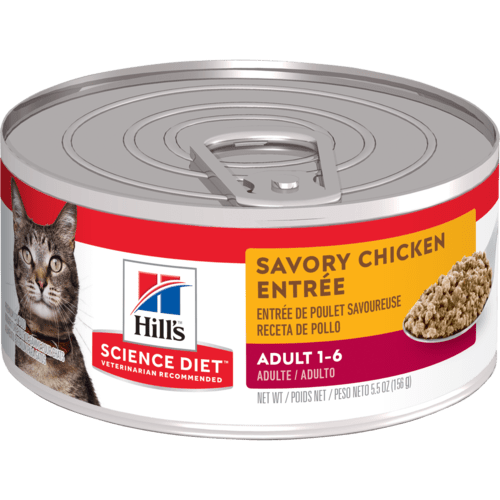 Adult Savory Chicken Entrée - Wet Cat Food - Hill's Science Diet - PetToba-Hill's Science