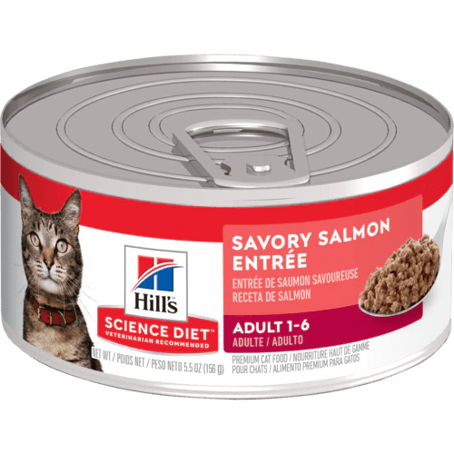 Adult Savory Salmon Entrée - Wet Cat Food - Hill's Science Diet - PetToba-Hill's Science