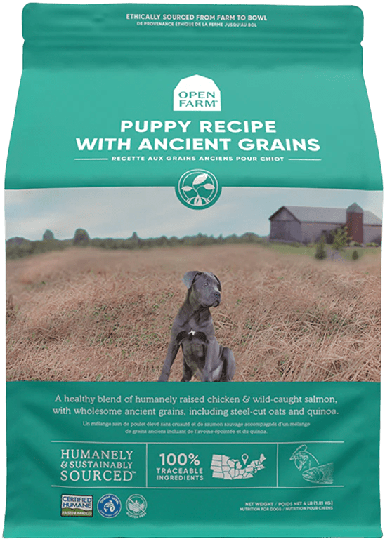 Ancient Grains Puppy Recipe High-Protein  - Dry Dog Food - Open Farm