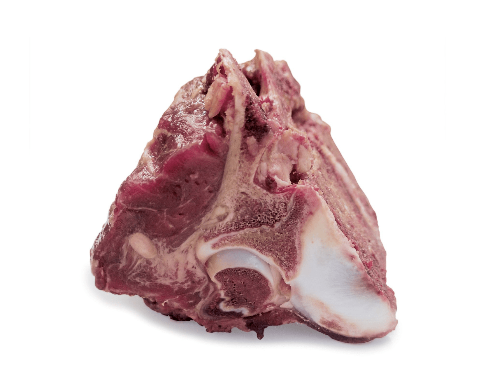Raw beef shank hot sale bones for dogs