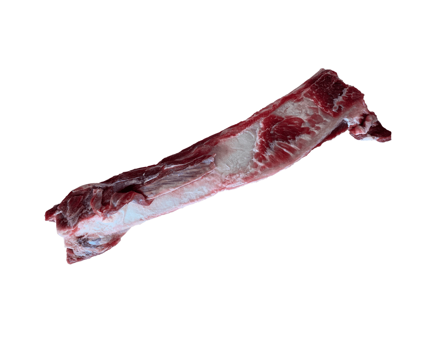 Beef Rib Bone - 1 PC - Frozen Raw Dog Chew - Iron Will Raw - PetToba-Iron Will Raw