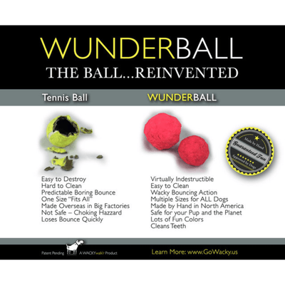 Best Fetch Ball - Wunderball - PetToba-Wunderball