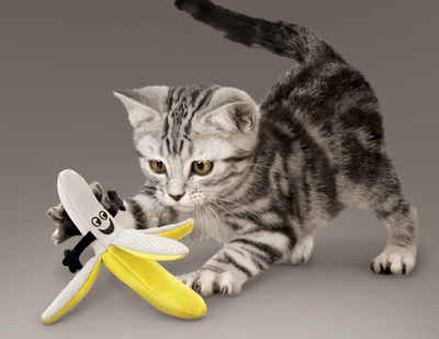Better Buzz Banana - KONG - PetToba-KONG