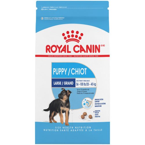 Big Puppy - Dry Dog Food - Royal Canin - PetToba-Royal Canin