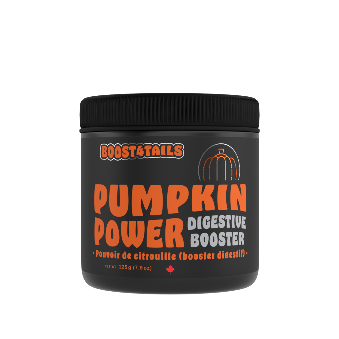 Pumpkin powder online for dogs