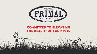 Beef Canine Raw Pronto - Frozen Raw Dog Food - Primal Pet Food