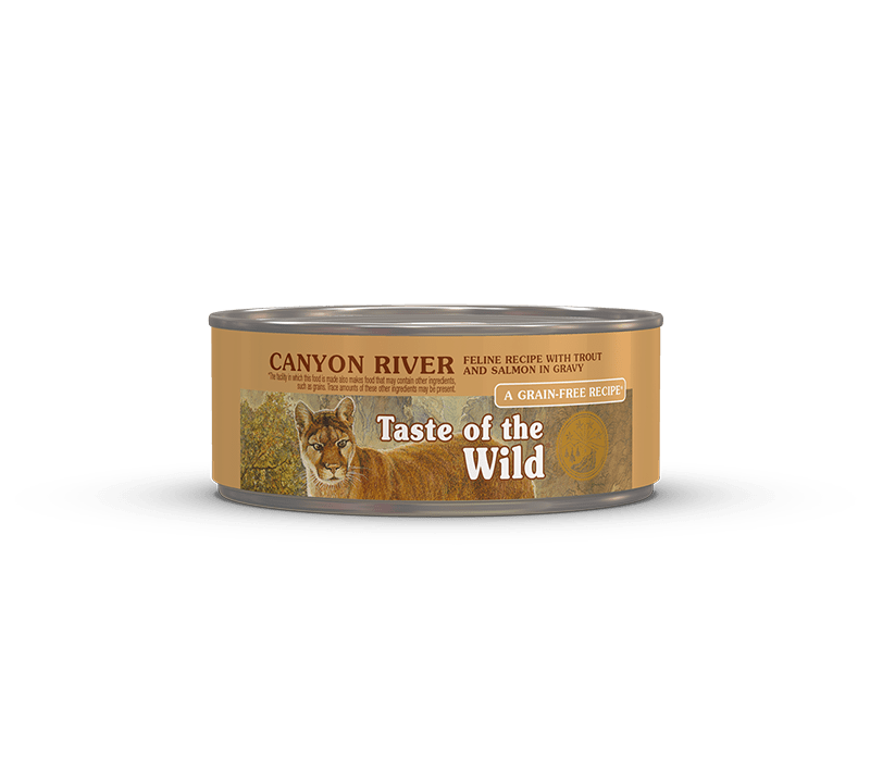 Canyon River Feline Recipe with Trout and Salmon in Gravy - Wet Cat Food - Taste of the Wild - PetToba-Taste of the Wild