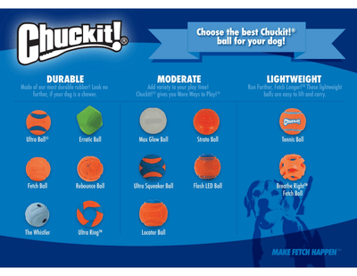 Chuckit! Ultra Squeaker Ball Large - PetToba-Chuckit