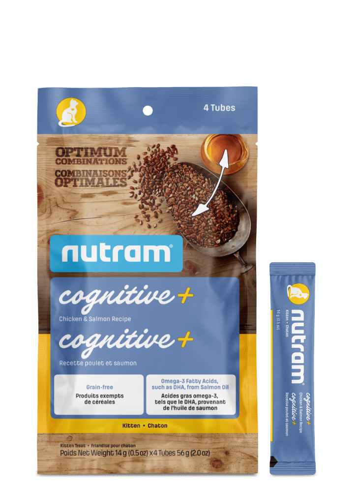 Cognitive+ Kitten Treats Chicken & Salmon Recipe - Cat Treats - Nutram - PetToba-Nutram