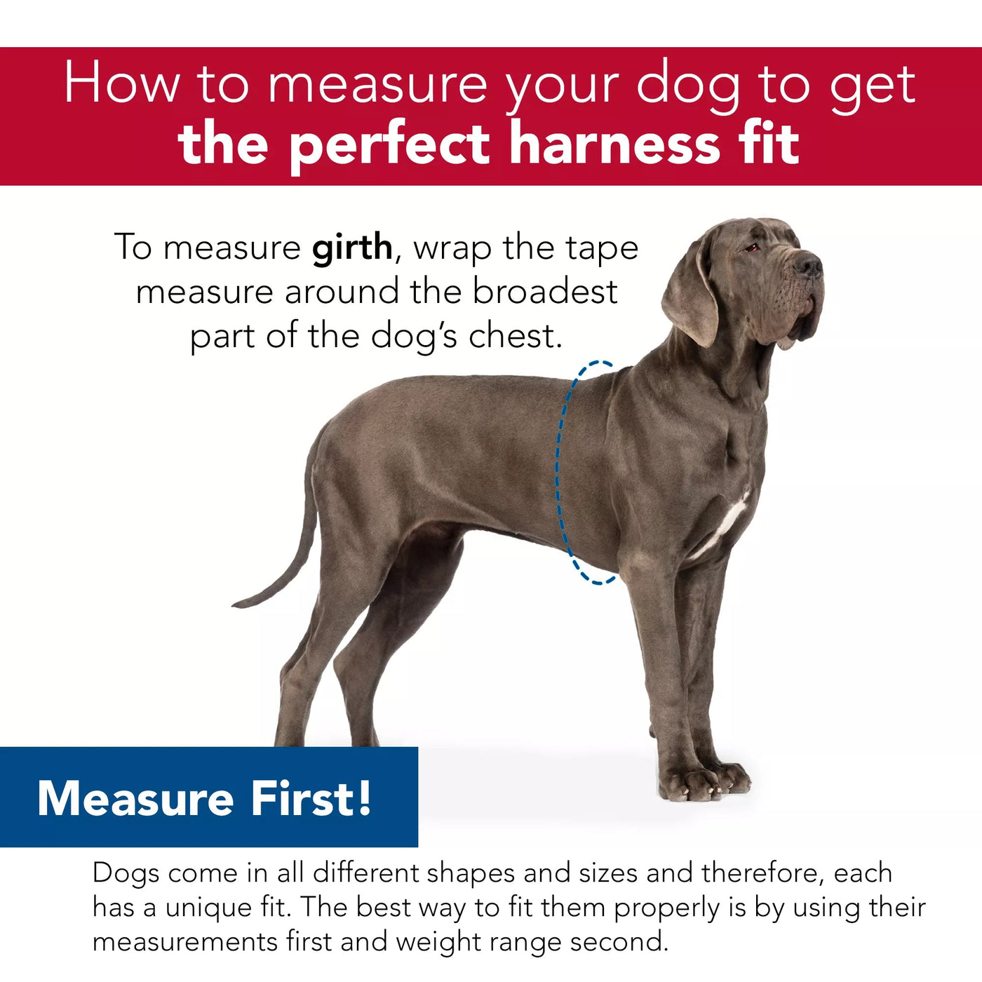 Comfort Wrap Adjustable Nylon Dog Harness - Coastal - PetToba-Coastal