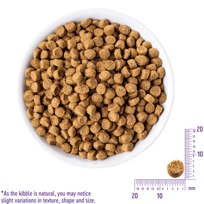 Complete Health Grain Free For Puppy - Dry Dog Food - Wellness - PetToba-Wellness