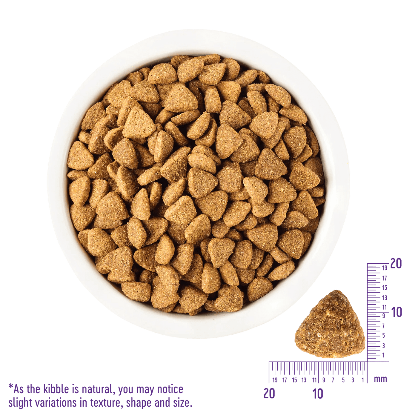 Complete Health Large Breed Chicken & Brown Rice - Dry Dog Food - Wellness - PetToba-Wellness