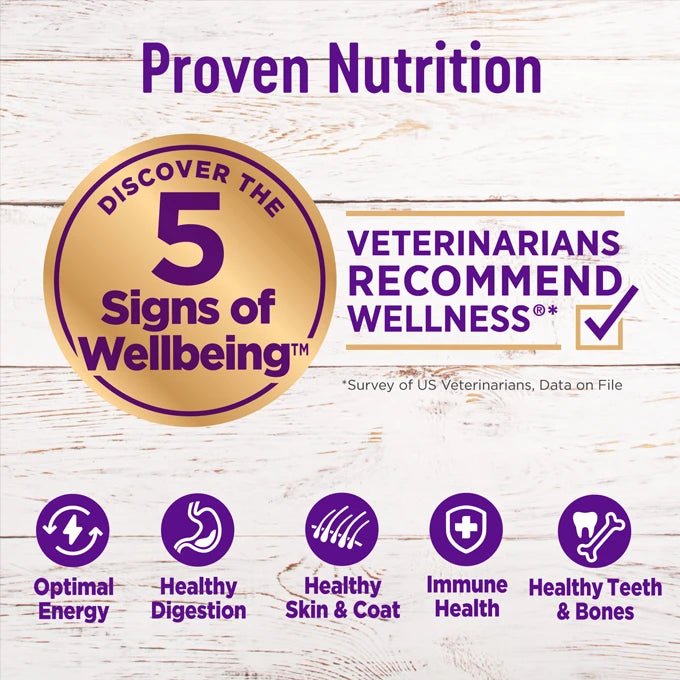 Complete Health Senior - Dry Dog Food - Wellness - PetToba-Wellness