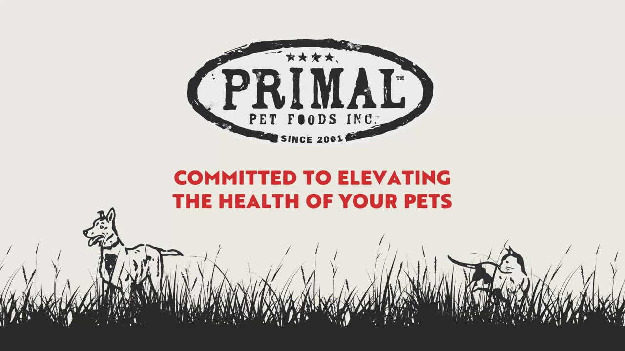 Pork Canine Raw Pronto - Frozen Raw Dog Food - Primal Pet Foods