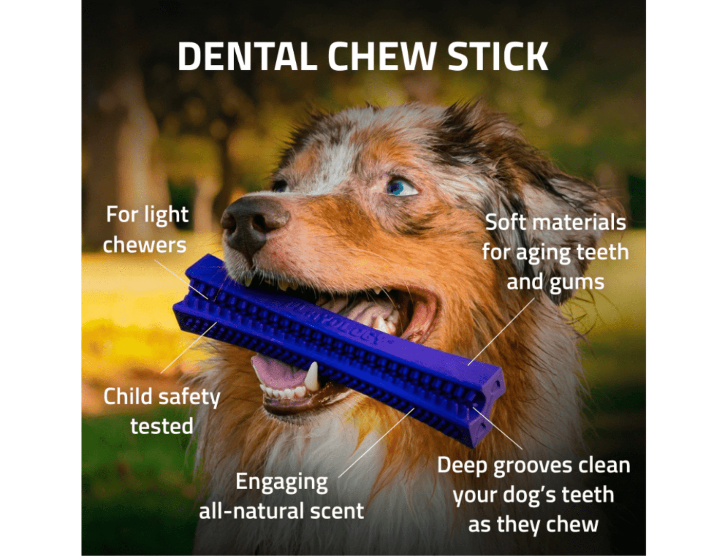 Dental Chew Stick Peanut Butter Scent - Playology - PetToba-Playology