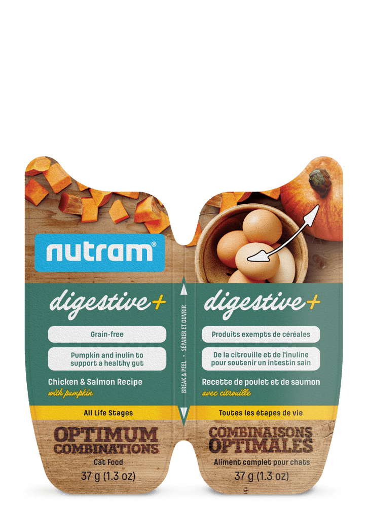 Digestive+ Cat Chicken & Salmon Recipe with Pumpkin - Wet Cat Food - Nutram - PetToba-Nutram