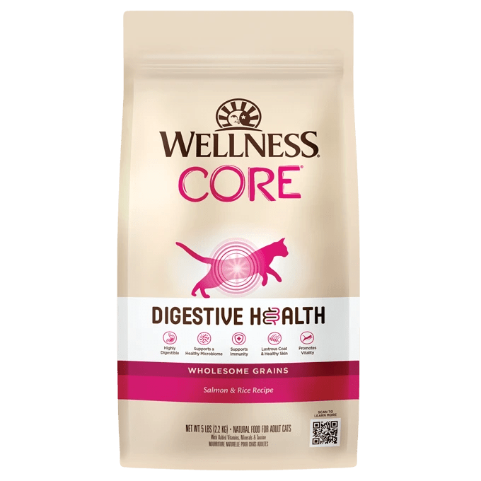 Digestive Health Salmon & Rice with Wholesome Grains - Dry Cat Food - Wellness